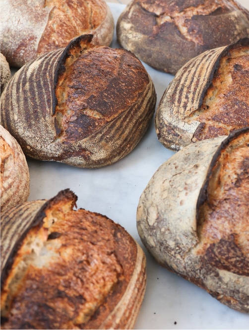 Artisan bakery breads